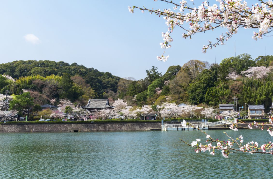 瀬田川対岸から見た石山寺 写真