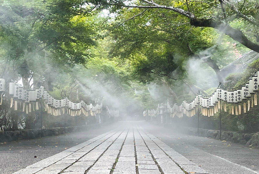 マイナス3℃を体感できるミスト 写真
