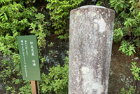 芭蕉の句碑 写真