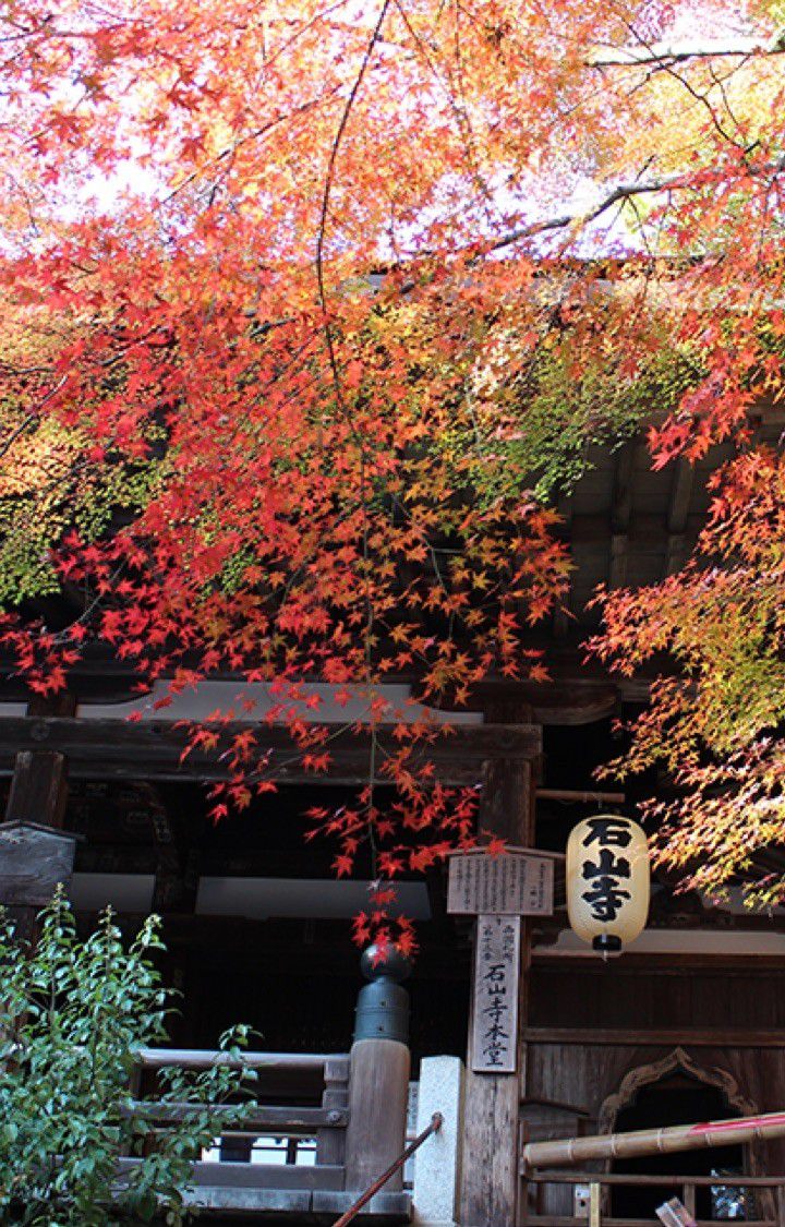 石山寺と紅葉の写真