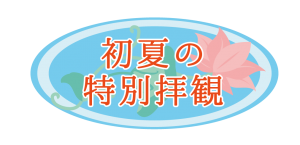 番外編】初夏の特別拝観 如意輪観音半跏像（旧御前立） 維摩居士像