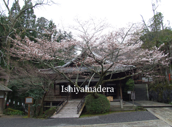 20100401-1.jpg