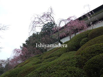 20100401-2.jpg