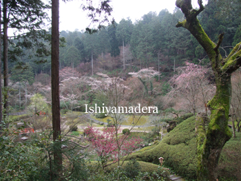 20100401-3.jpg