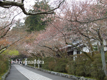 20100401-4.jpg