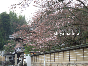 20100401-5.jpg