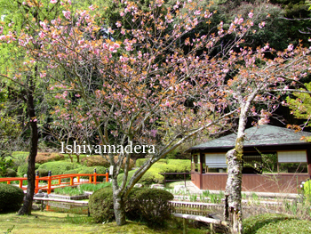 20100415-2.jpg