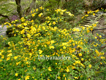20100415-7.jpg