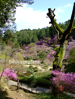 20100415-9.jpg