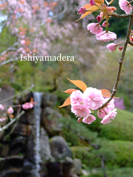 20100417-1.jpg