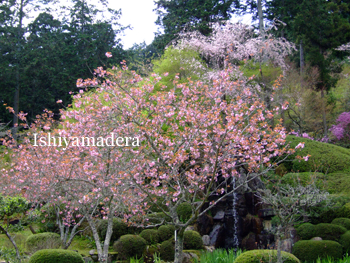 20100417-3.jpg