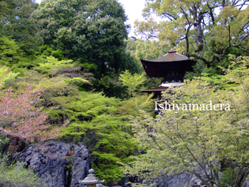 20100419-1.jpg