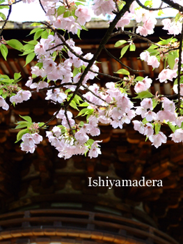 20100419-2.jpg