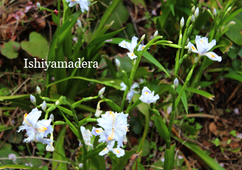 20120421-4.jpg