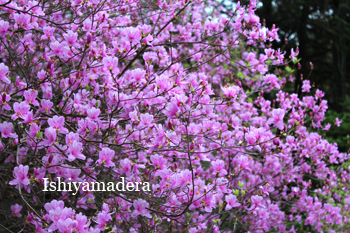 20120421-5.jpg